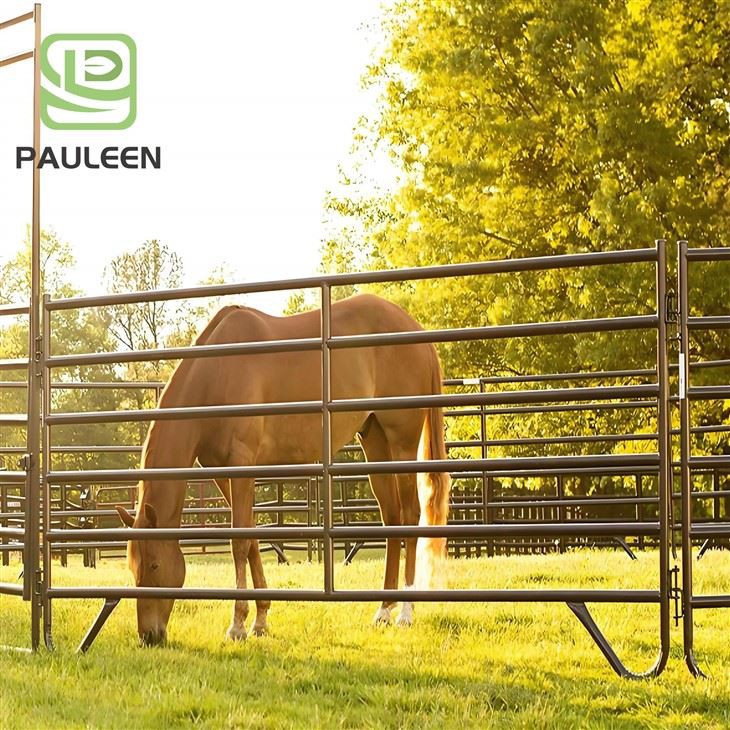 Vinyl Horse Fencing Vinyl Horse Fencing